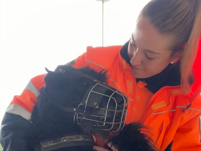 Incorporació a la plantilla de vigilants de seguretat per donar cobertura a la nostre unitat canina